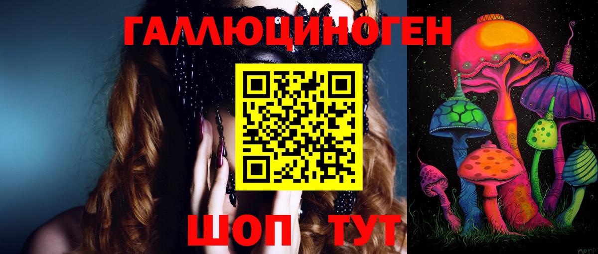 Сальск  Галлюциногенные грибы ЛСД  продажа наркотиков  Галлюциногенные грибы Magic Shrooms  Вход с VPN 