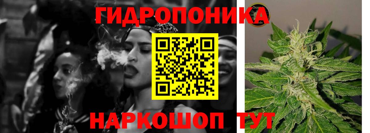 Бошки марихуана индика Сальск